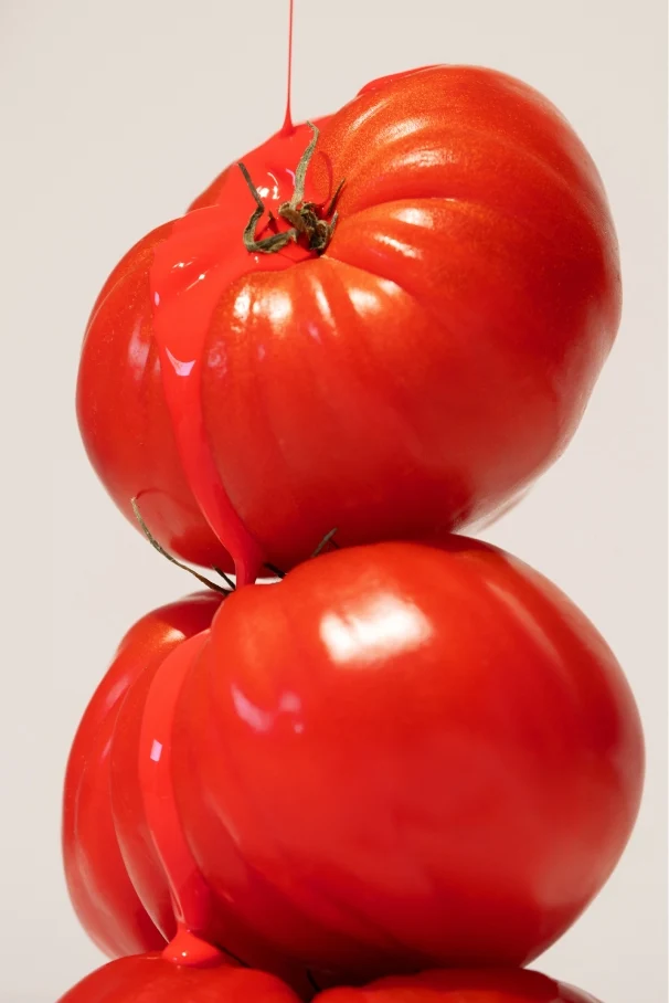 Vorschaubild 7
